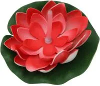 Растение водоплавающее Кувшинка Розитта d13см красная с подсветкой