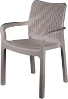 Стул InGreen Rattan пластиковый 506х580х833мм, французский платан