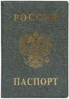 Обложка для паспорта ДПС тиснение золото Герб ПВХ серая
