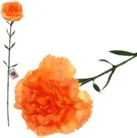 Цветок искусственный Гвоздика 68см оранжевая