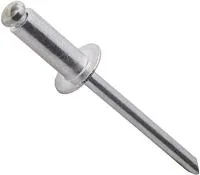 Заклепка вытяжная комбинир СВФС 4х8мм 22шт пакетик