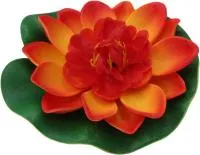 Растение водоплавающее Кувшинка d10см оранжевая