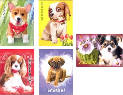 Блокнот 32л А6 ГРУП клетка (Собаки 17)