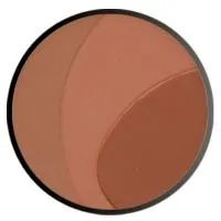 Пудра-корректор FARRES Bronzer Cover 3в1*