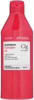Шампунь CONCEPT ProWay 400мл коллагеновый для стабилизации и сохранения цвета