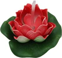 Растение водоплавающее Кувшинка Розитта d10см красная с подсветкой