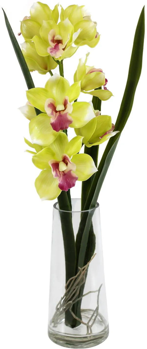 Цветы декоративные Цимбидиум в вазе Размер: 30х20х51см Цвет: зеленый+розовый