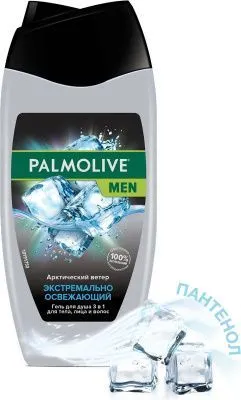 Гель для душа PALMOLIVE Men 250мл  (3в1 Арктический ветер)
