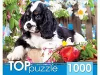 Пазлы TOPpuzzle 1000 элементов