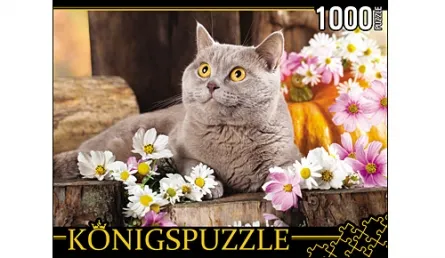 Пазлы Konigspuzzle 1000 элементов