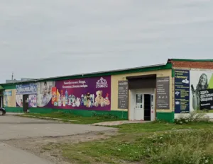 Золушка, с. Чажемто, ул. Ленина д. 18, 636423