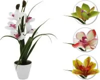 Декоративный цветок цимбидиум в горшке из пластика и текстиля 39см