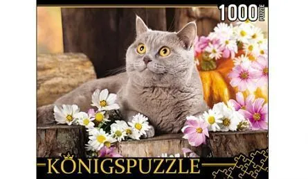 Пазлы Konigspuzzle 1000 элементов