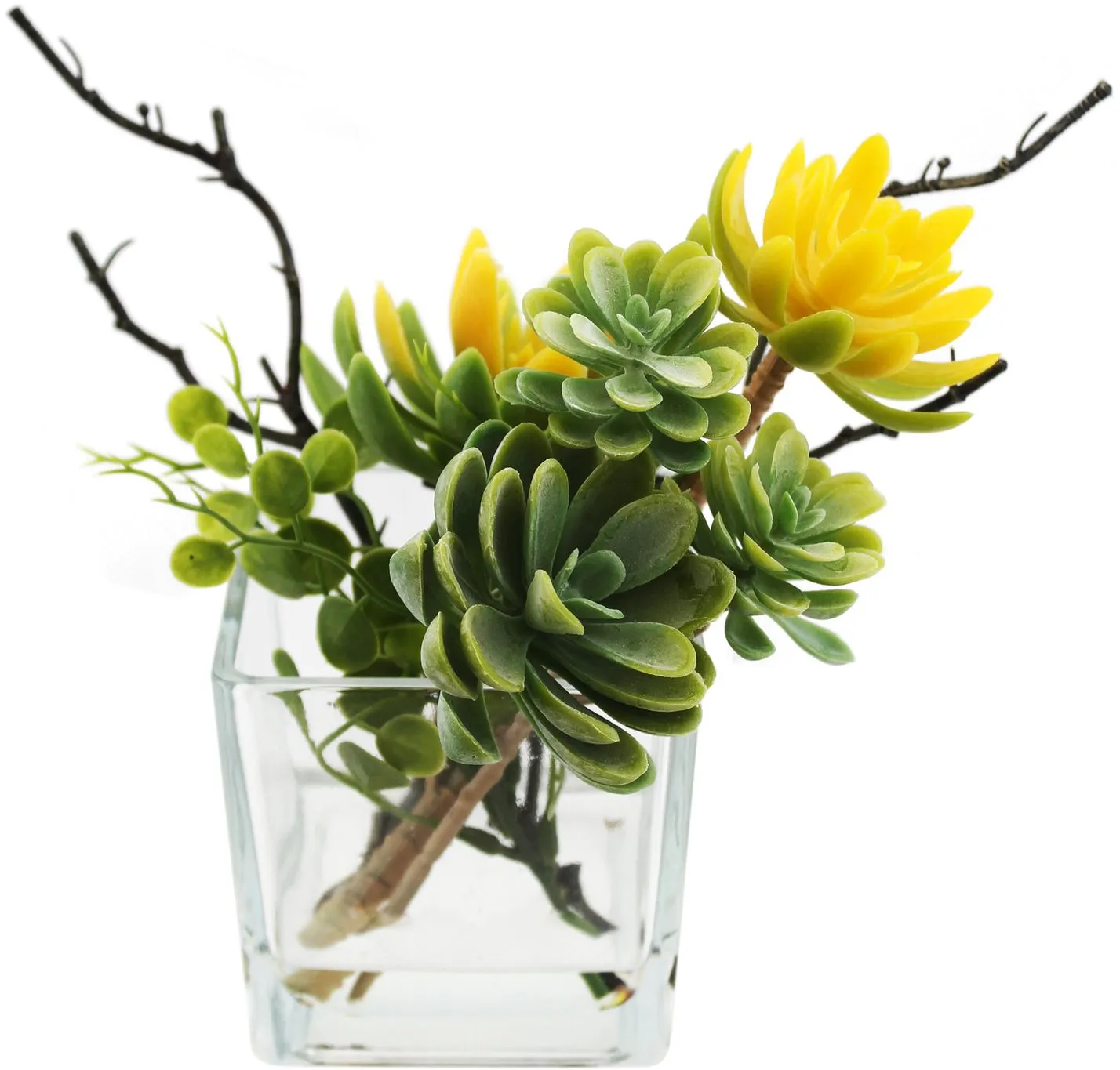 Растение декоративное Суккуленты в вазе Размер: 26х25х17см Цвет: зеленый+желтый