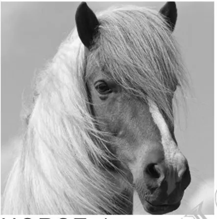 Подушка декоративная 45х45см