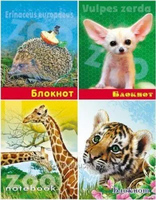 Блокнот 16л А7 ГРУП клетка (Животный мир // БС16-3)