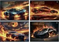 Альбом для рисования 12л ALINGAR Авто Р100
