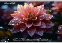 Альбом для рисования 40л ALINGAR Цветы