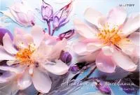 Альбом для рисования 30л ЭКСМО склейка Нежные цветы 