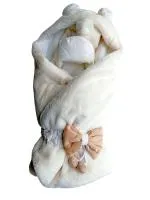 Комплект на выписку ЗАБАВА зима Цвет: Кремовый