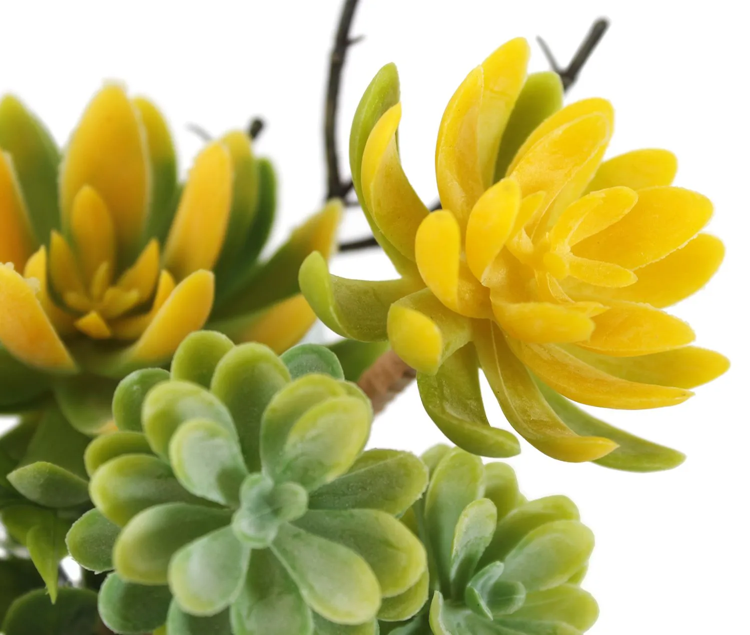 Растение декоративное Суккуленты в вазе Размер: 26х25х17см Цвет: зеленый+желтый