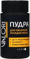 Пудра для укладки волос Valori Professional 10г