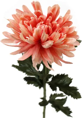 Цветок декоративный Хризантема Размер: 10х10х56см (Цвет: коралловый)