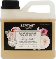 Гель для стирки SEPTIVIT Special 1000мл Cherry Love