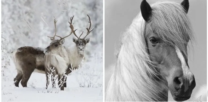 Подушка декоративная 45х45см