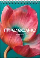 Блокнот 60л А5 ЭКСМО клетка гребень Цветение.2