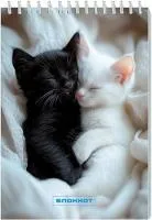 Блокнот 32л А5 АППЛИКА клетка Два котенка 