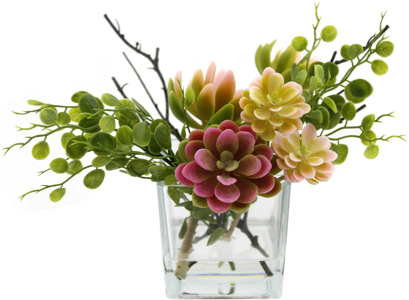 Зеленые с розовым декоративные растения суккуленты в вазе