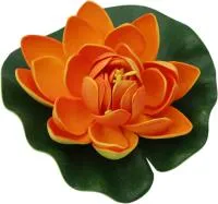 Растение водоплавающее Кувшинка Розитта d13см оранжевая