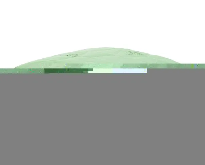 Одеяло EDH-Эконом А Синтепон 172х205см 150г п/э