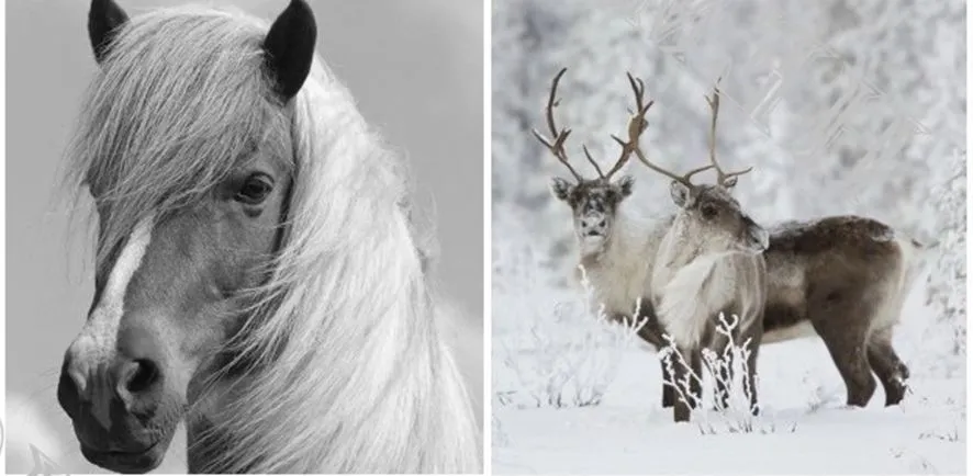 Подушка декоративная 45х45см