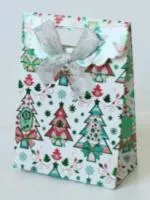 Пакет подарочный 11.5х6х16см