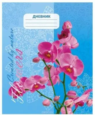 dnevnik_1_11kl_orkhideya_skoba_24