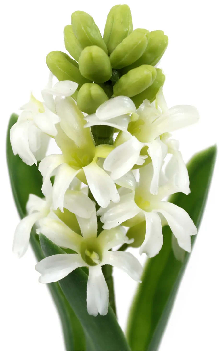 Белые декоративные цветы гиацинт в стеклянной вазе 22.5см