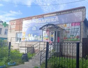 Золушка, с. Зырянское, ул. Советская д. 19а, 636850