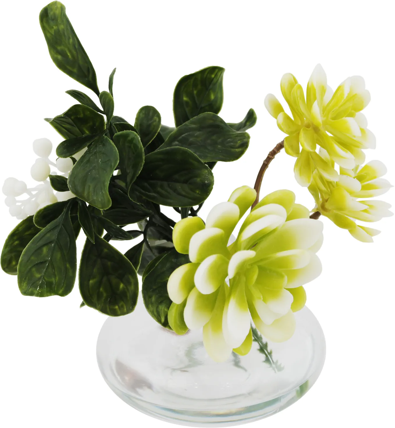 Зеленые декоративные растения суккуленты в стеклянной вазе