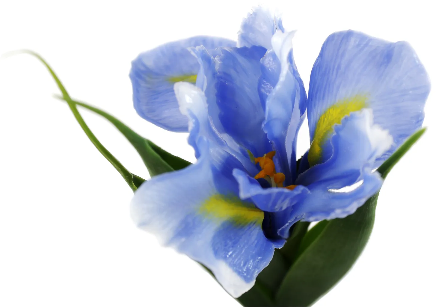 Синие декоративные ирисы в стеклянной вазе 34см