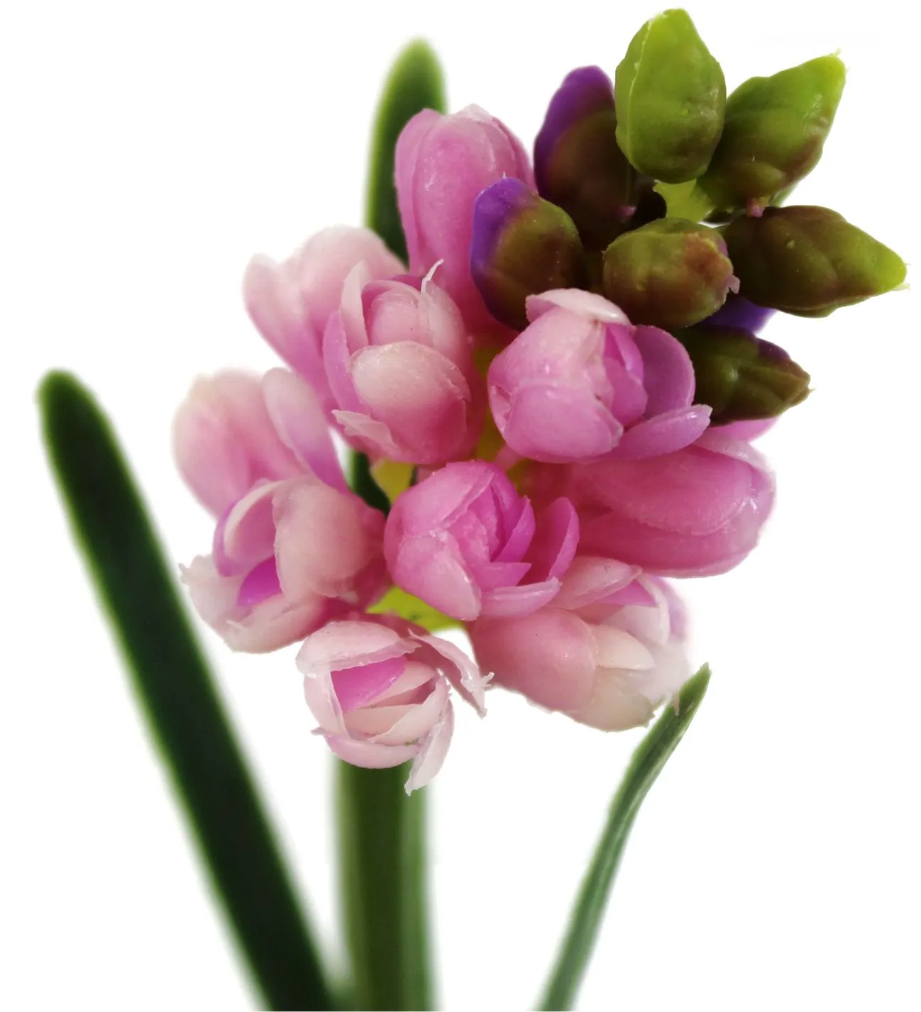 Розовые декоративные цветы гиацинт в стеклянной вазе 22.5см