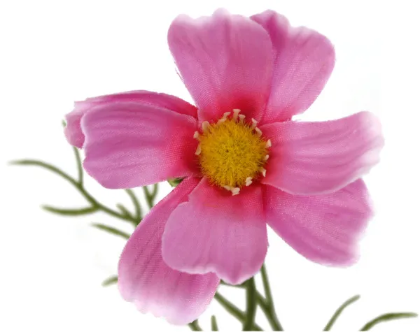 Розовый декоративный цветок космея из ткани 64см 6 веток