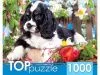 Пазлы TOPpuzzle 1000 элементов