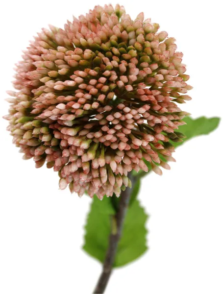 Розовый декоративный трахелиум с тканевыми листьями 44см