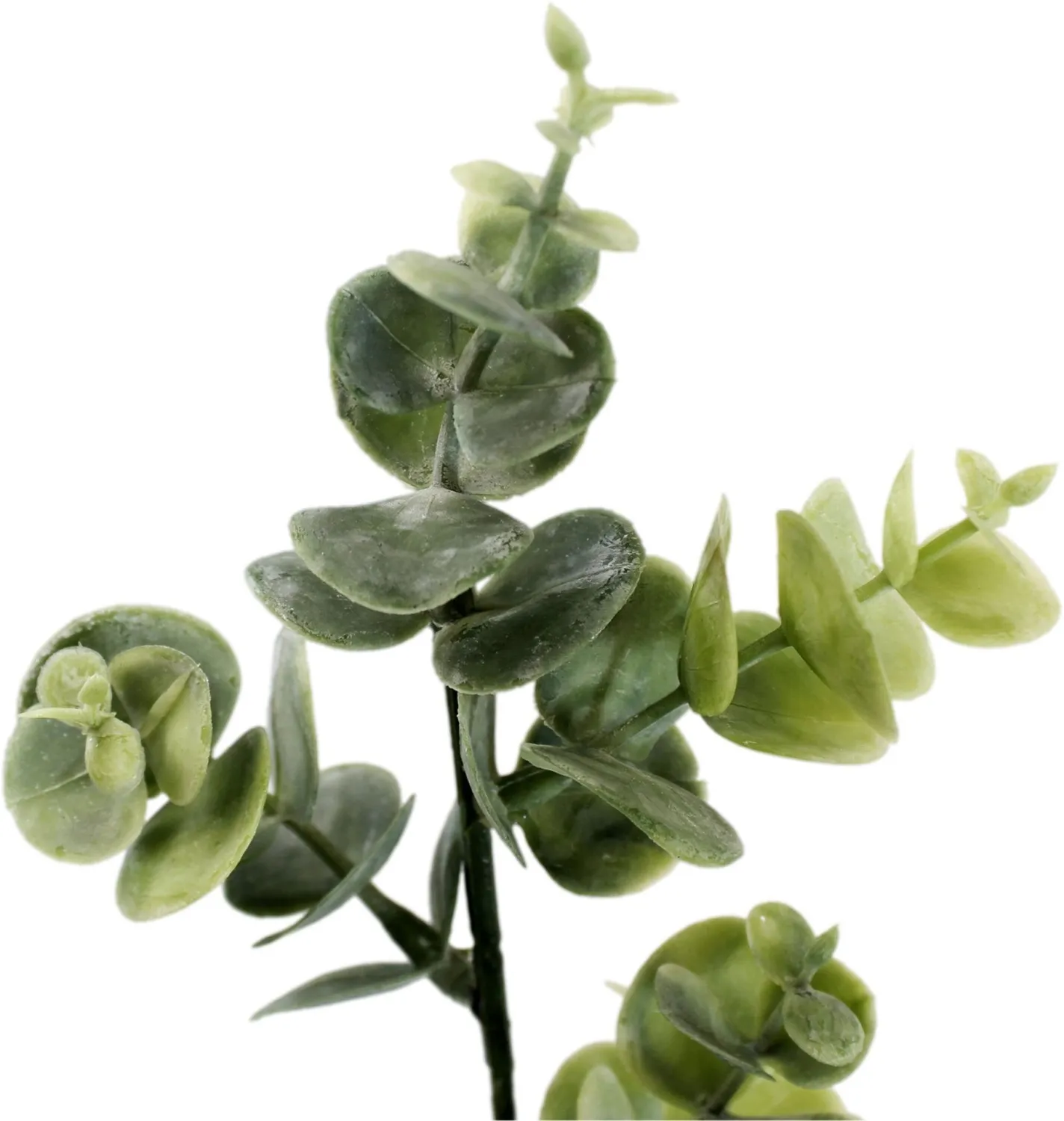 Ветка декоративная Эвкалипт Размер: 10х10х40см Цвет: зеленый