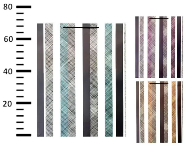 Пакет подарочный 50х70см (83 Полоска)