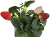 Декоративная клубника в горшке из силикона и пластика 13.5см