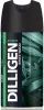 Дезодорант мужской DILLIGEN 150мл