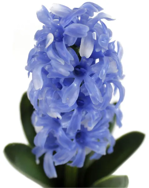 Цветы декоративные Гиацинты в вазе Размер: 13х10х27см Цвет: синий